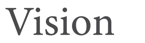 Vision